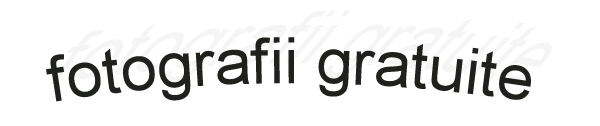 fotografii gratuite